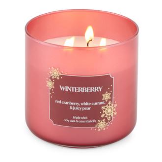 Distant Lands Winterberry Candle