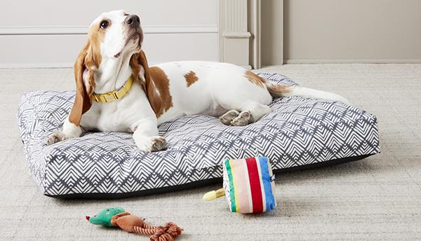 Pet Care Supplies, Home Accessories
