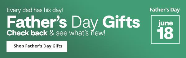 Next day delivery hot sale fathers day gifts