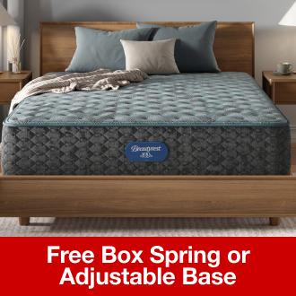 Free Box Spring or Adjustable Base