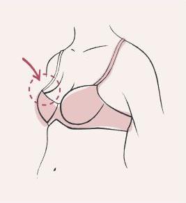 Fitting Your Bra  How Should My Bra Sit? – Little Women