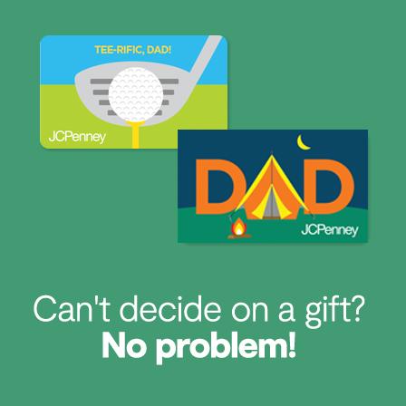Gift Cards can't decide on a gift no problem!