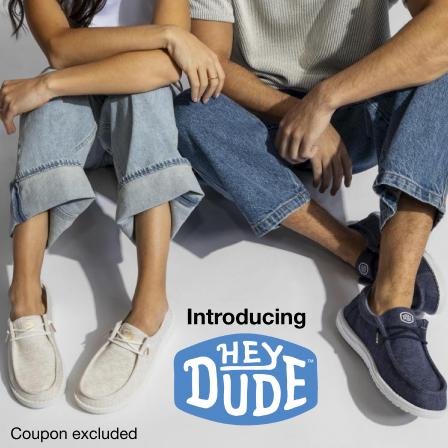 Introducing Hey Dude
