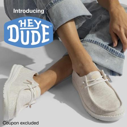 Introducing Hey Dude