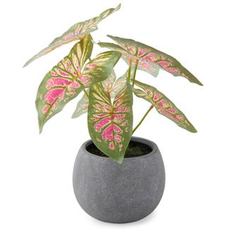 Linden Street Pink Caladium Artificial Plant