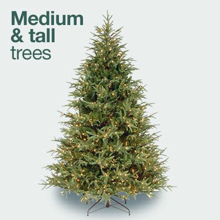 Medium & tall trees