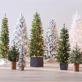 North Pole Trading Co. christmas trees