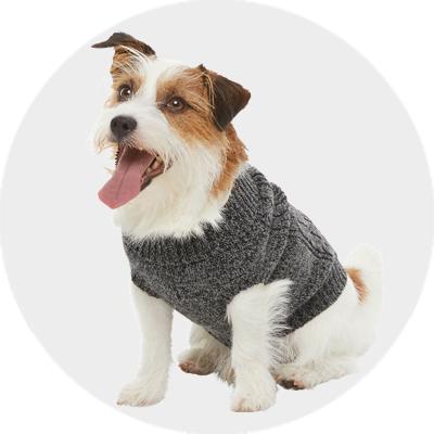 Jcpenney sales dog clothes