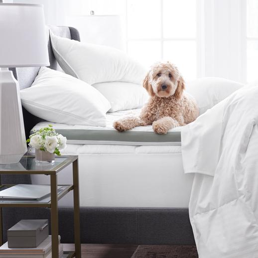 Relax & Restore Everything you need to create the perfect sleep environment.