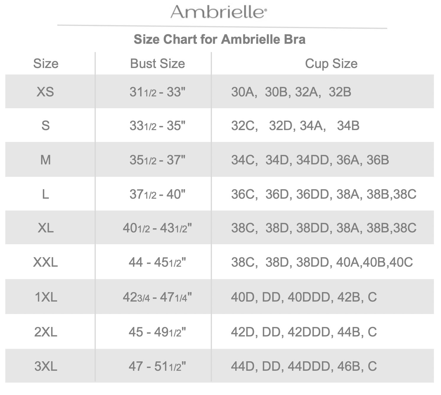 Ambrielle Comfort 360 Collection - JCPenney
