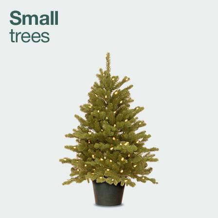 Small trees