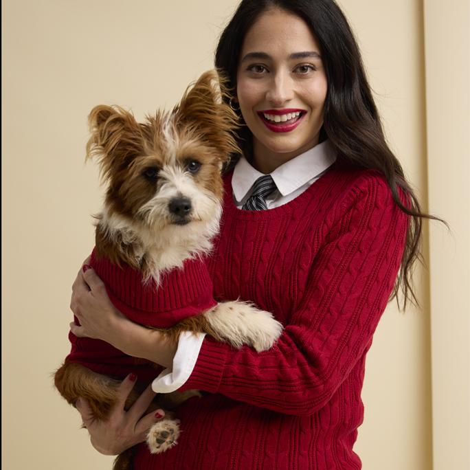 St. Johns Bark Dog Sweater