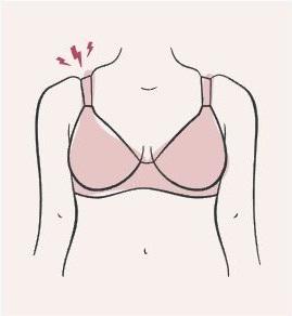 Bra Fit Guide, Bra Size Quiz