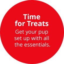 Time for treats get your pup set up with all the essentials