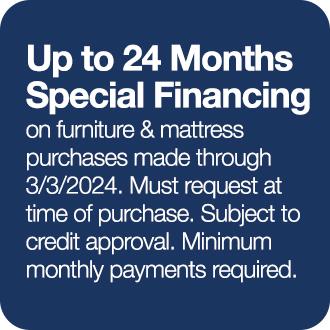 up to 24 months special financing